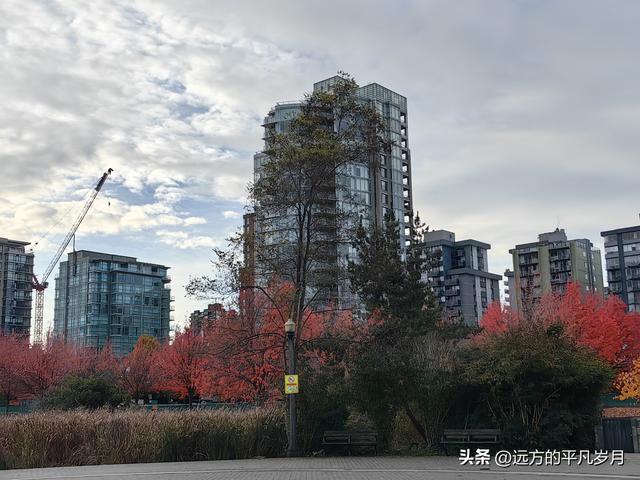 温哥华游记（一）