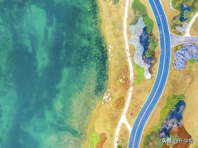 成都一个“天花板”级别公园，面积5000多亩，亭台楼阁，地铁直达