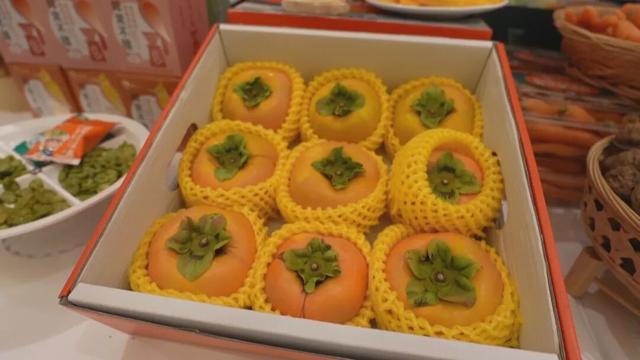 “投资保山·旅居隆阳”推介会走进湖南 滇湘文旅共探合作新篇