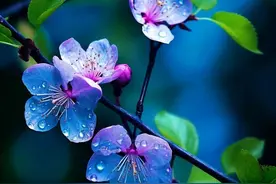 男人愿意娶离过婚的女人吗？听听这四个男人的心里话图片