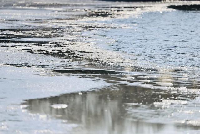 长春惊现“龙鳞”！绝非人工