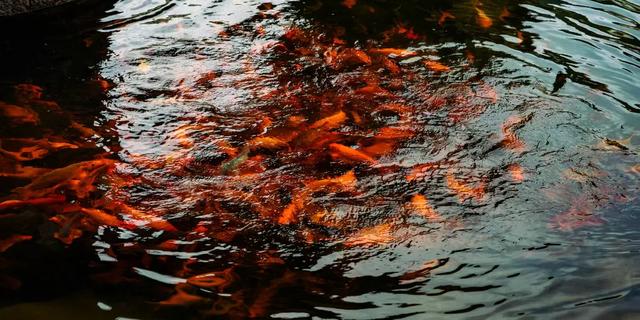 高铁直达，来浙江就能探索“九寨沟”！