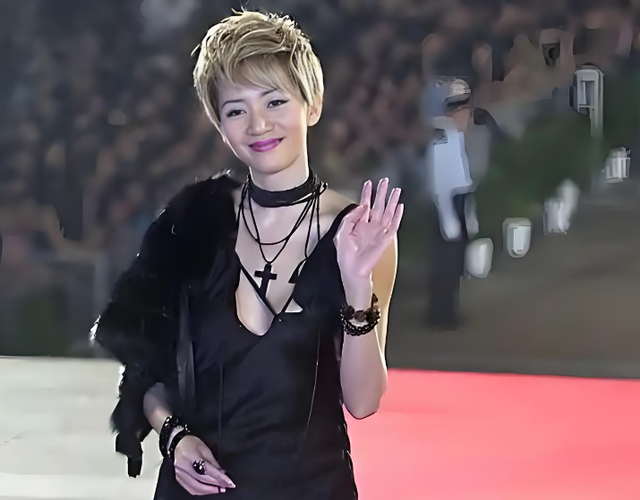 向太曝光梅艳芳事件真相，被追杀躲泰国2年， 陪身边的不是赵文卓