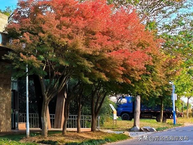 唐岛湾，美得如此满分！