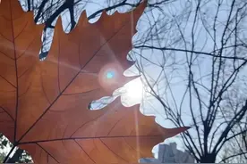 “七情六欲”原来指的是这个！人心善恶终究是因为这方面不同！图片