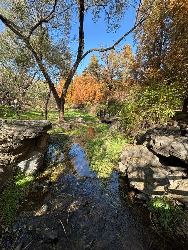 国家植物园赏秋