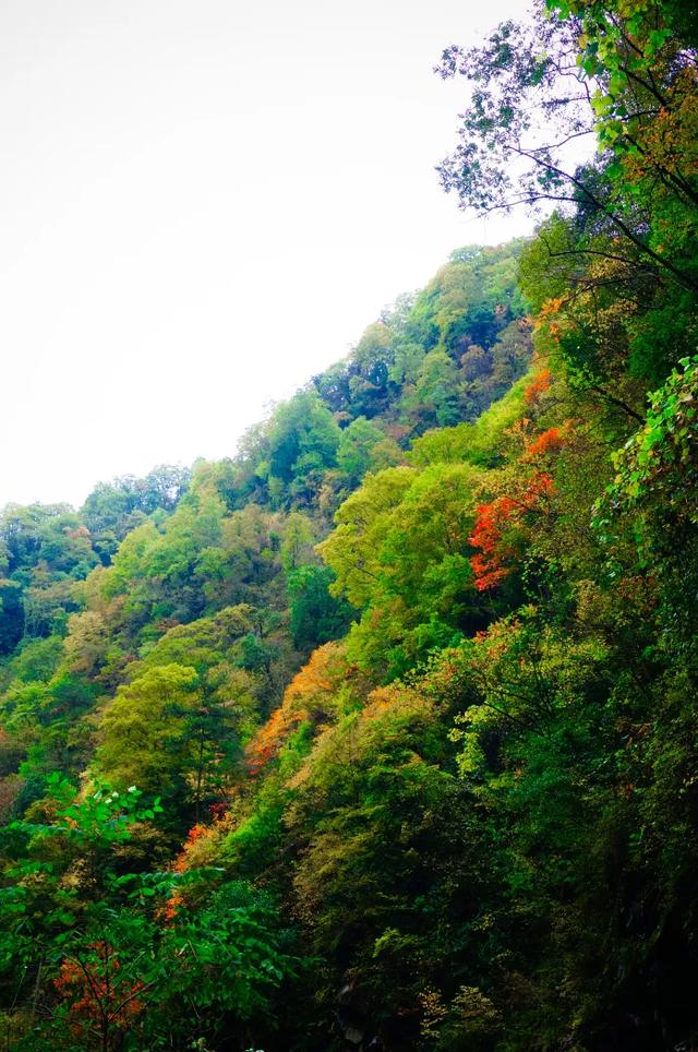 来洋县华阳！赴一场秋日之约~