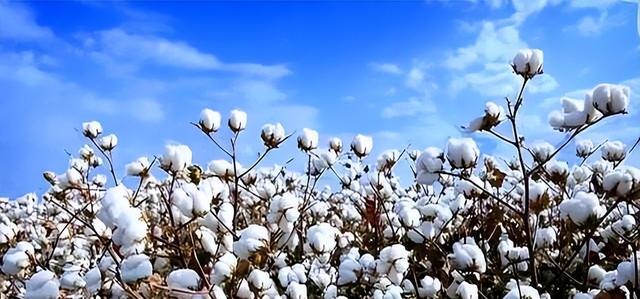 果然没让人失望！27国投票制裁中国，一国抵挡压力，坚定支持中国