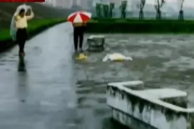 94年台湾尸体拼图案：头牌舞女惨遭碎尸，给友人托梦协助破案图片