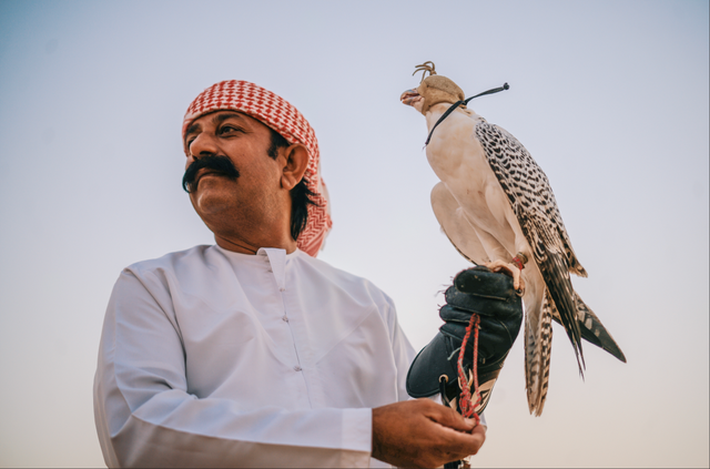 跟着土豪航司和旅游局一起去旅行，也太爽了吧！