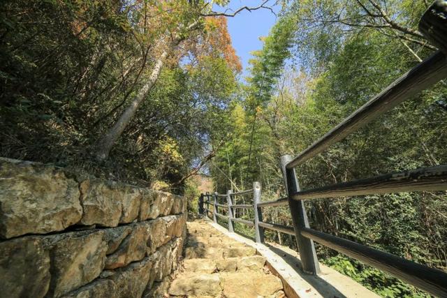 进化藏了个神仙徒步地，出片率极高！