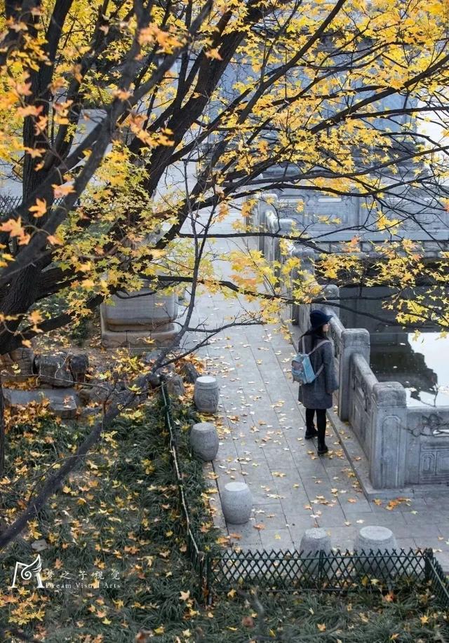 青州这些景致，藏着最动人的温柔