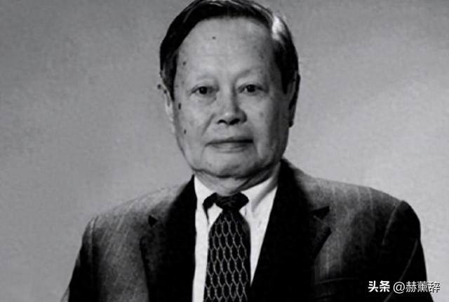 已证实杨振宁长子去世，看49岁翁帆现在做的事 才知道我们误会她了