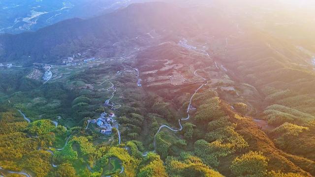 盘点我去过浙江泰顺的五个绝美地，比国外还美，知道的游客却很少