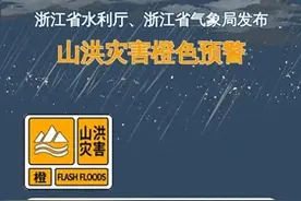 台风“丹娜丝”或在浙闽沿海再次登陆！浙江部分列车停运，多地暴雨到大暴雨，台风“丹娜丝”最新路径消息图片