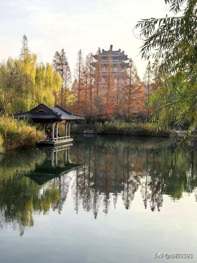 新华社原军事记者陶俊峰泉城美拍：《初冬大明湖晨曦美景》