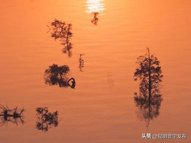 滇池南岸 浮光跃金