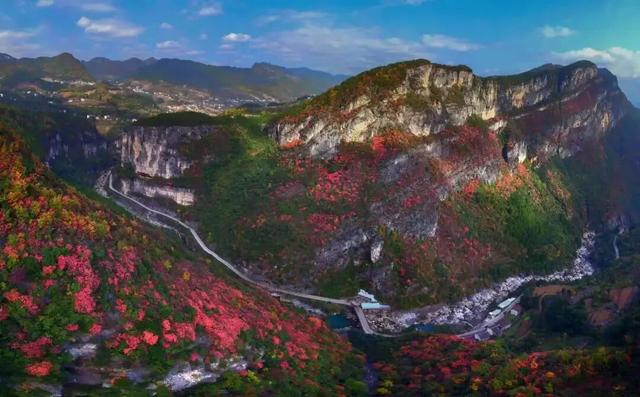 利州＝梦幻秋色打卡地