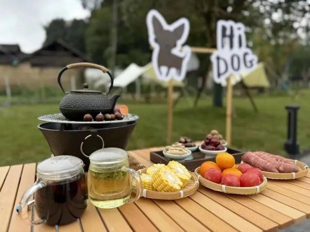 汪汪队！集合！