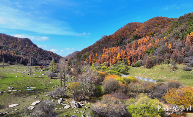 【摄影报道】秋韵未歇：张家川山水的立冬回眸
