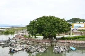在广东汕尾，错过这 6 处景点，等于白来一趟，你去过几个？图片