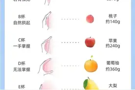 全国各省女人胸围图标，整理好了，不妨来看看你老婆达标了吗图片