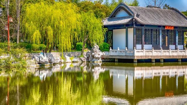 临沂“3.8”女神节必看｜免票+特惠+活动一键解锁