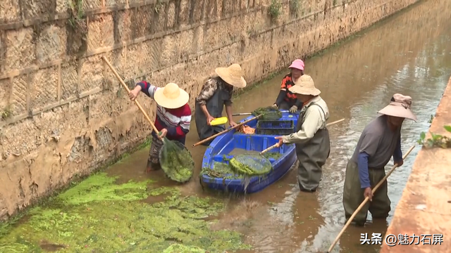 这些年，异龙湖的这“一抹蓝”更动人了