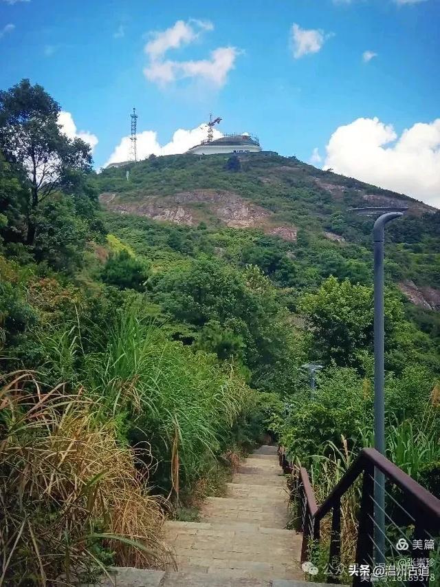 从最美公园到网红观景台，温州这两个火爆朋友圈的打卡点你可去过