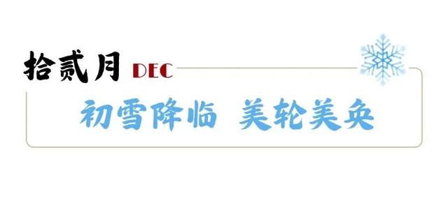市南的2026，应该这样过...