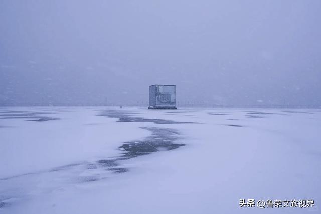 雪落大连，一场山海的冬日盛宴