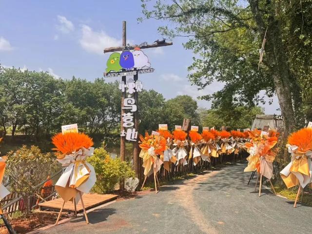 《这里归我罩》在屯溪开机，把山水写成 “爆款剧本”！| 皖美夏日