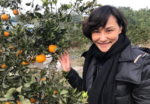 郭晶晶没想到，移居美国惨遭丈夫抛弃的高敏，已走上另一条上坡路