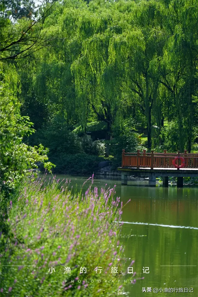 西安这个公园有点“怪”，风景一般，早上的游客却很多！你去过吗