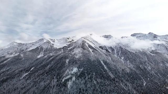 达古冰川 “季节盲盒” | 山顶雪堆成画，山下彩林留余韵