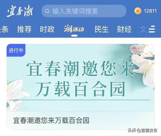 国庆去打卡！宜春人自己的“普罗旺斯”