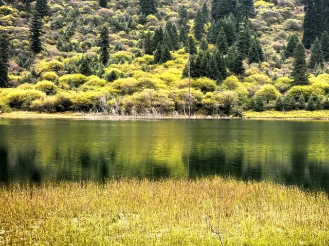 别再等！达古秋冬双景已上线，从彩林穿越到雪域