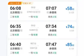 最低4元高铁票！网友：捡漏好时机来了图片