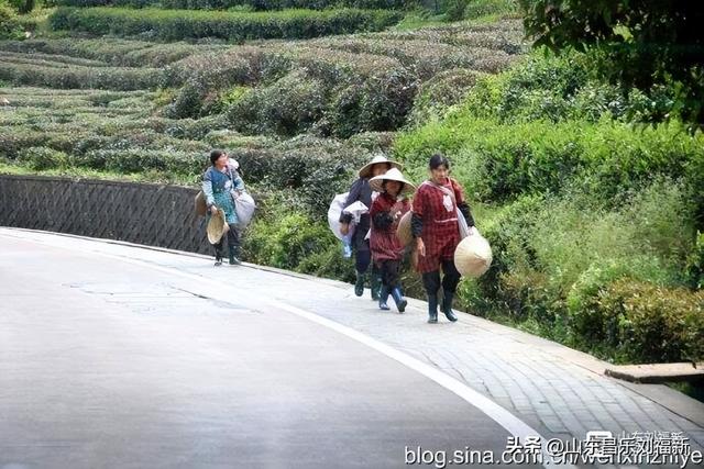 杭州324路公交车沿途风光（皖浙沪旅游122）