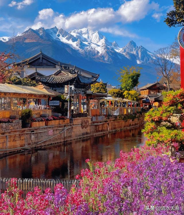 旅游到底是跟团好还是自由行好？一篇帮你算清楚，看完再出发