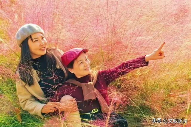 国家3A+1！新洲这个景区“糖分”已超标，有点好嗑，速来！