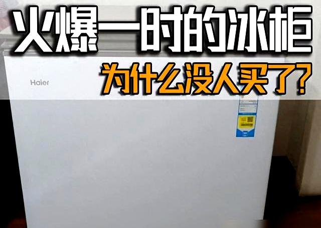 前几年火爆一时的冰柜，为什么没人买了？看过这些原因你就明白了