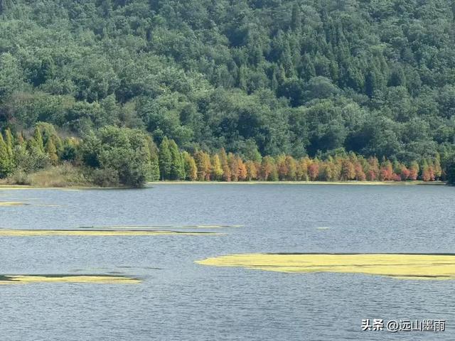 在阳光明媚的秋日里，我们走马街、三家村水库、团结乡滑草场，爽