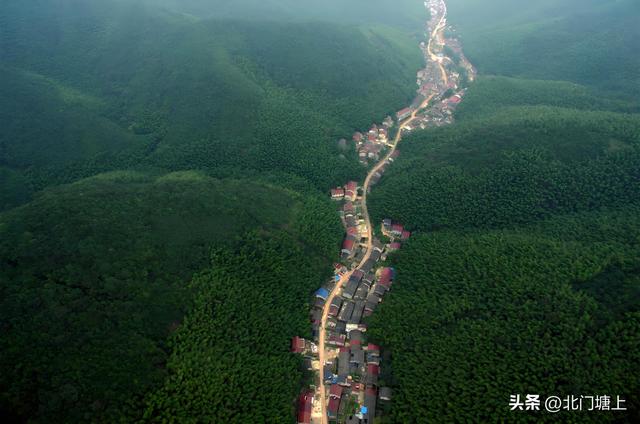 自然与人文交织，这个小山村靠“贡茶文化”走出了特色发展之路