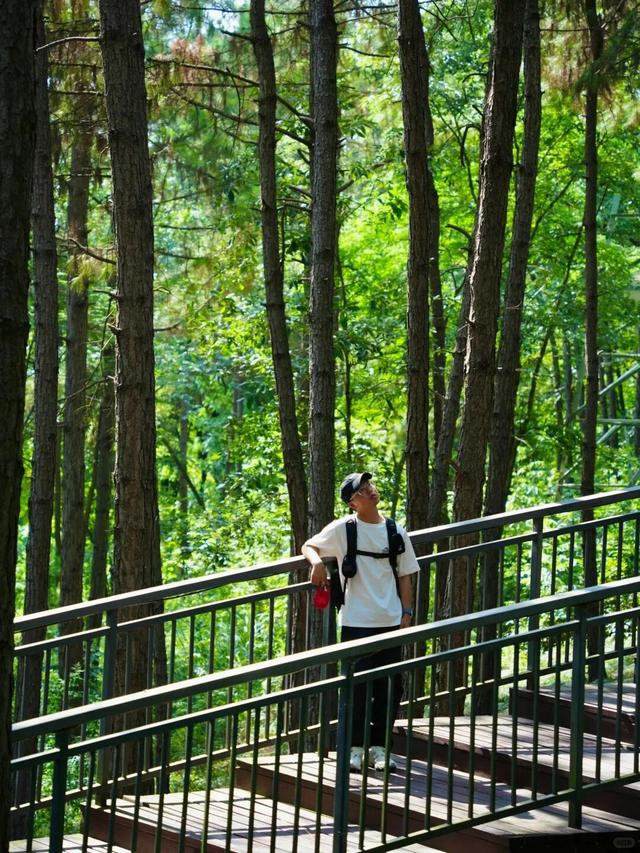收拾收拾，又有景区“升咖”了