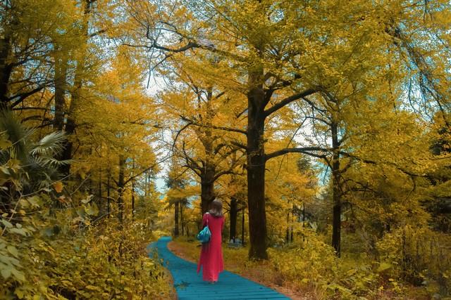 湖南了解太少！这十个5A级景点，外地人都爱上了她，赶快宣传吧！