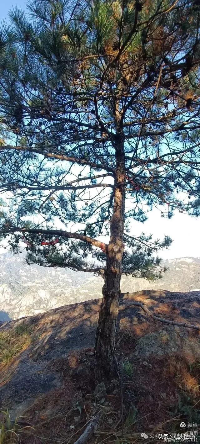 环浙步道上的小众穿越秘境，这条充满挑战的徒步环线你可去过？