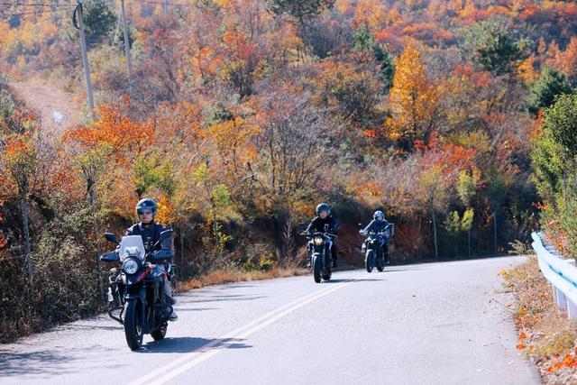 渑池坡头红叶拍摄记：一场迟来的秋日邂逅