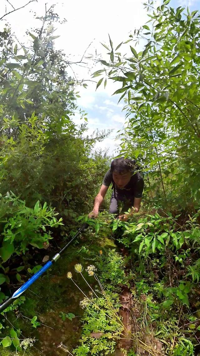 重庆北碚有一座濒临消失的古寨，寨主竟曾是美国总统罗斯福的同学