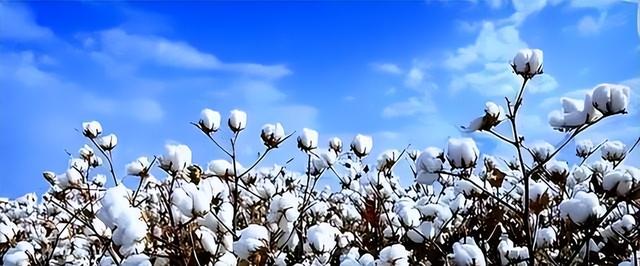 果然没让人失望！27国投票制裁中国，一国抵挡压力，坚定支持中国
